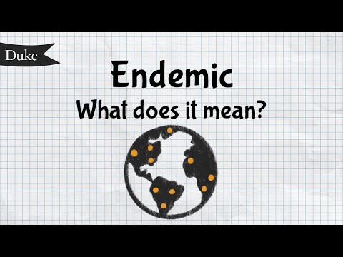 What does endemic mean in medical terms?