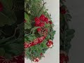 അങ്ങനെ ഞങ്ങളുടെ christmas tree 🎄 ready homevlog myhomemylife christmastree christmas2024