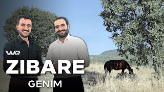 Zibare - Genim | زبارە - گەنم