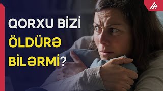 Qubada 13 yaşlı qız həqiqətənmi itdən qorxub ölüb? - APA TV