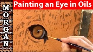 wildlife art How  to paint an eye in oils Jason Morgan