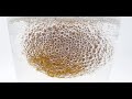 Egg in Vinegar Timelapse