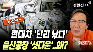 [뉴스픽] 현대차 '난리 났다'...울산공장 '셧다운'..왜?