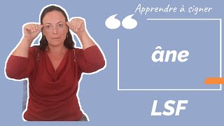 Signer ANE (âne) en LSF (langue des signes française). Apprendre la LSF par configuration