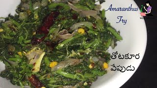 తోటకూర వేపుడు రుచికరంగా | Andhra Style Thotakura Fry In Telugu | Amaranthus Fry | Thotakura Recipes