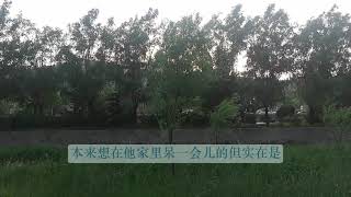 群聚守住嘴，独处守住心