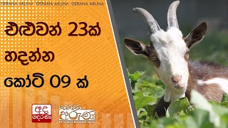 එළුවන් 23ක් හදන්න කෝටි 09 ක්