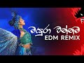 Mayura Wannama EDM Remix | Sri Lankan EDM | Yaxer