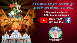 Holy Mass Live From Karingachira Cathedral | കരിങ്ങാച്ചിറ കത്തീഡ്രലിൽ വിശുദ്ധ കുർബാന തത്സമയം