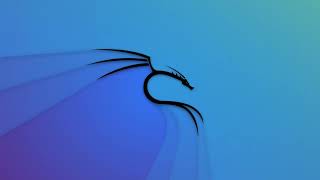 Blind SQL injection with custom script [ETHICALHACKING] [SQL] [PYTHON]