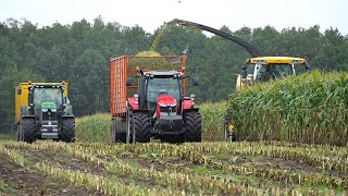 Maize harvest 2019, New Holland FR - AgraWerk Vledderveen + Burbank - Mais hakselen - Silage