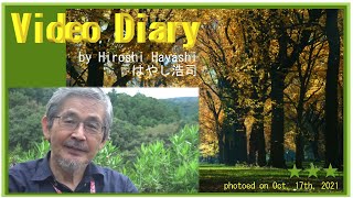 02030 Video Diary 食べたら損＝損ねる＋人間は遺伝子操作で品種改良されたスーパーラットだった＋人間の自滅論と絶滅論、今が選択のときbyはやし浩司Hiroshi Hayashi JP