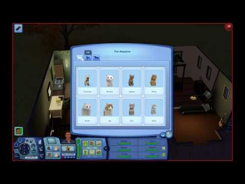 The Sims 3: How to Adopt a Pet The Sims 3: How to Adopt a Pet