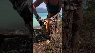 Baking Bread in a Tree Trunk