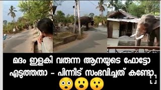 മദമിളകിയ ആനയെ വീഡിയോ എടുത്തിട്ട് ......... elephant attacks