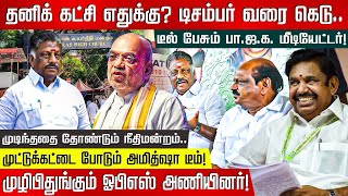 தனிக் கட்சி எதுக்கு? டிசம்பர் வரை கெடு.. டீல் பேசும் BJP மீடியேட்டர்! | ADMK | OPS | High Court