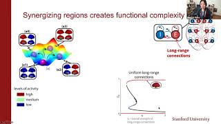 Talk: Intrinsic dynamic landscape of the brain shaped by multiscale structural constraints