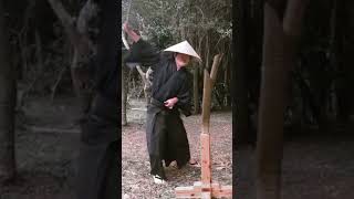 日本刀、剣術の抜き打ち！　#katana #kenjutsu #shorts