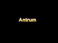 What Is The Definition Of Antrum Medical Dictionary Free Online