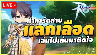 🔴 รอยัลการ์ด ทำการ์ดเน้นเลือดจะดันดาเมจได้แค่ไหน | Ragnarok M: Classic EP.25