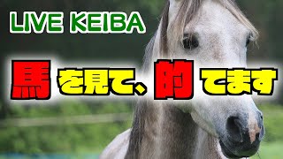 パドック予想で競馬実況🥕22年11月13日