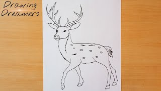 How to Draw a Deer Step by Step Easy || Deer Drawing Tutorial