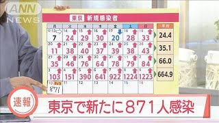 東京で新たに871人感染確認　前週同曜日より768人増(2022年1月10日)