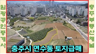 #충주부동산채널 831번 충주시 연수동 답 급매매 자연녹지