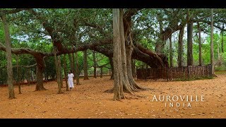 Auroville, India - Travel Vlog