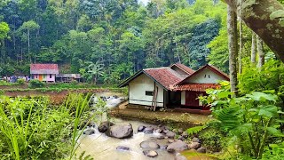 TAKJUB😍Rumah Boleh Pinggir Sungai, Rumahnya Canti Cantik, Relaksasi Gemuruh air,Pedesaan Jawa Barat