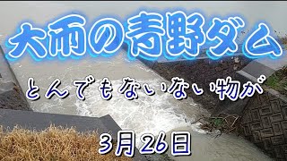 【青野ダム】大雨の中バス釣り行ったらとんでもないものが引っ掛かってもうたんやが😭セリア100均ルアー　😱ディープクランクベイトで勝負した結果(;^_^A