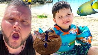 Caleb & Mommy PLAY BUG HUNT ON THE BEACH! PLAYING IN THE SAND at DISNEY CRUISE CASTAWAY CAY!