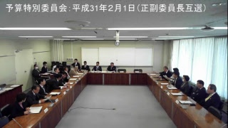 予算特別委員会：平成31年2月1日（正副委員長互選）