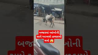 બજારમાં આંખોની સામે આખલો હળકાયો થયો 😱 #trending #viral #Reels #funny