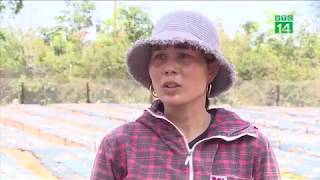 Người dân Quảng Bình gồng mình chịu nắng nóng | VTC14