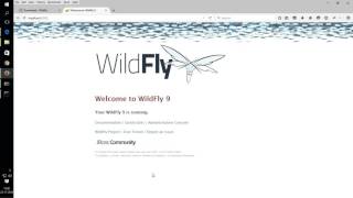 Windows に Wildfly アプリケーション サーバーをインストールする