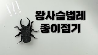 왕사슴벌레 종이접기