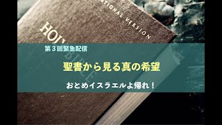 （シェア・DL可）【第3回緊急配信】聖書から見る真の希望〜おとめイスラエルよ帰れ！〜