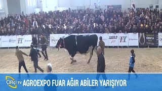 AGROEXPO FUAR AĞIR ABİLER YARIŞIYOR