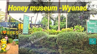 തേൻ പോലെ മധുരമീ അനുഭവം (Beecraft Honey museum - Wyanad )