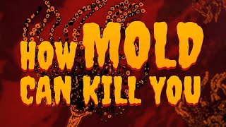How Mold Can Kill You | True Horror | Gizmodo