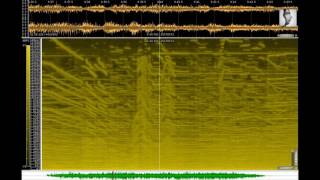 Karlheinz Stockhausen - Klang 13. Stunde: Cosmic Pulses (2007)