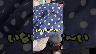 【#shorts】いないいないばぁが出来るようになった、赤ちゃん！