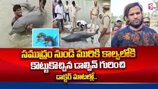 మురికి కాల్వలోకి   కొట్టుకొచ్చిన డాల్ఫిన్ ..| Dolphin Found in Canal | SumanTV