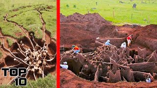 Top 10 Unsettling Discoveries Made By Farmers