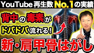 【衝撃の17筋同時ストレッチ】YouTube最強の肩甲骨剥がしで万病対策！1日10回の魔法メソッドが首・肩こりを根こそぎ撃退し呼吸も激変、一生モノの完全解放へ