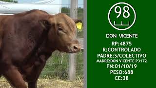 LOTE 18 4875