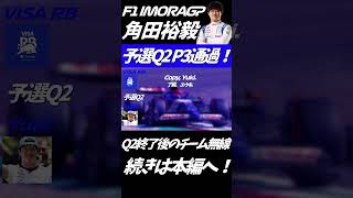 【日本語翻訳】角田裕毅 2024エミリアロマーニャ・イモラGP F1無線  予選Q2 P3＆Q3 P7チーム無線 #f1 #automobile #formula1