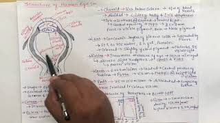 DIP#5 Structure of a human eye || EC Academy