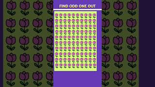 FIND THE ODD ONE OUT | SPOT THE DIFFERENCE RIDDLES | GAMES FOR KIDS